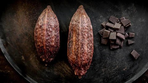 The Art of Organic Chocolate and Understanding Full Traceability