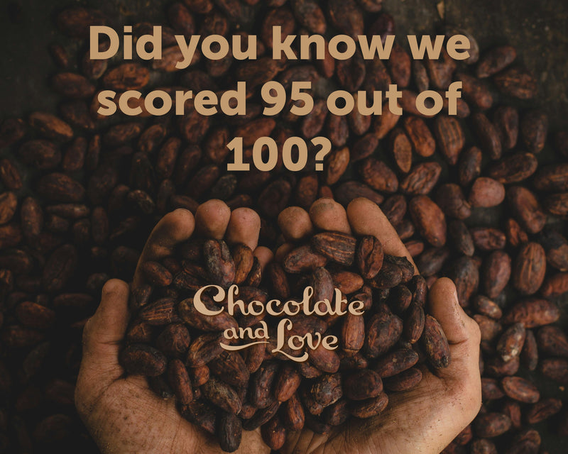 Organic Dark & Milk Chocolate Selection Library Box | Chocolate