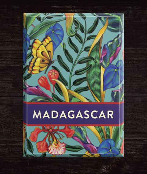 Madagaskar-Dispenser-Box - vegane reine dunkle Schokolade - 120 x 5,5g Napolitains